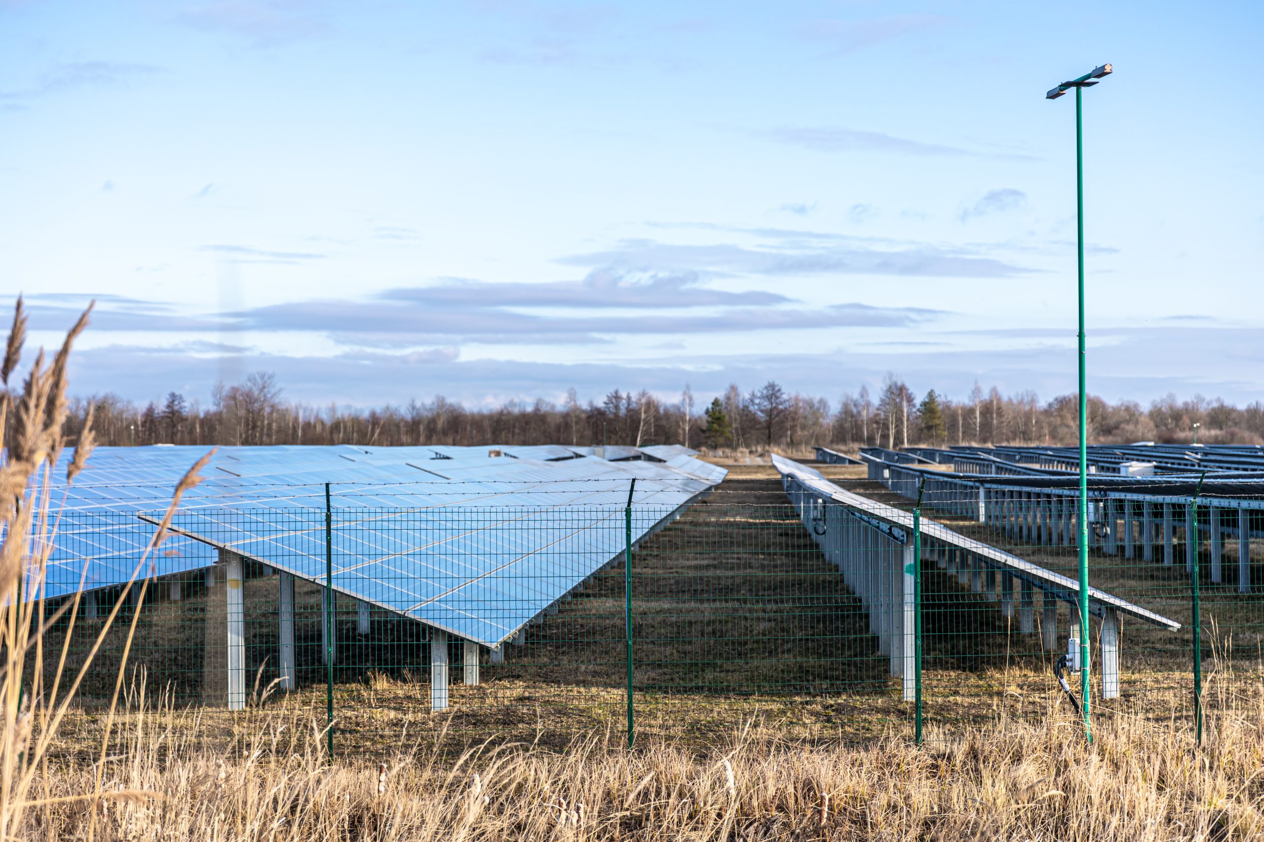 Electric farm with panels for producing clean ecologic energy.